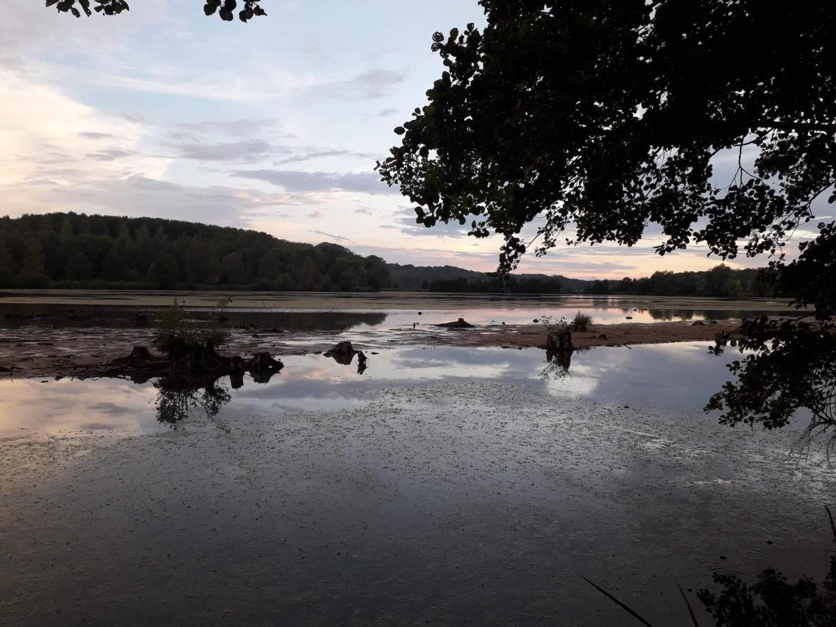 La Maison Du Colombophile Neuville-sur-Ailette エクステリア 写真